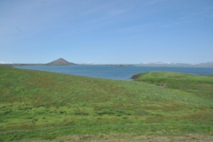 The ocean weaving in and out of the lush summertime green.