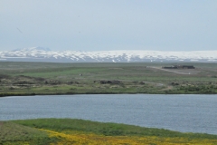 In the distance is a reminder of the harsh winters with snow that never melts.