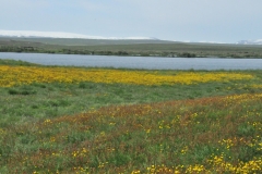We were fortunate to see color in this part of the world in early summer