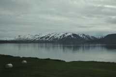 This morning we leave Akureyri and drive along the fjords to the small fishing village of Dalvik.