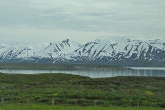 A village on the opposite of the Fjord with green grass and snow in the distance.