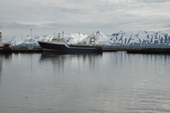 We drive to the fishing village of Dalvik where we set sail on a restored fishing vessel from the harbor for a whale watching excursion.