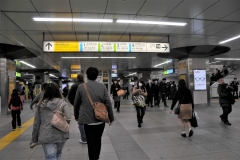 Toli Subway is made up of 4 lines operating on 67 miles of route. Rose Line 1 Asakusa Line; Blue Line 6 Mita Line,; Leaf Green Line 10 Shinjuku Line,; and Ruby Line 12 Oedo Line.