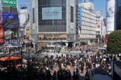 The famous intersection outside of Shibuya Station is a must visit when in Tokyo. When lights turn red at this busy intersection they all turn red at the same time in every direction. Traffic stops completely and pedestrians surge into the intersection from all sides like marbles spilling out of a box. It becomes organized chaos.