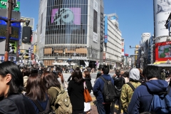 After experiencing the "scramble" follow the crowds into Shibuya 109, a big shiny mall with more than 100 boutiques, for a look at the latest fashions.