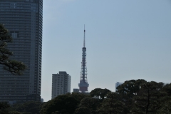 Former Tokyo TV tower in the distance