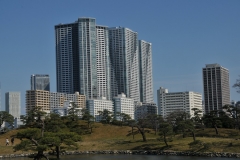 The park was built as the Tokyo residence for feudal families in the 17th century intended originally for leisure purposes