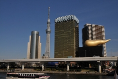 The promonent gold and black buildings is the Headquarters of Asahi Beer. This intriguing architectural wonder features 2 main buildings. The tallest resembles a giant beer jug complete with foam shaped white roof. The shorter building , known as the Super Dry Hall, is a black glass building in the shape of a beer glass, with an enormous golden flame shaped object perched on top. Tokyo Skytree building is the tall tower to the left.