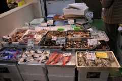 The amazing varieties of fresh fish