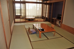 Hakone Princess Hotel - a traditional Japanese hotel with tatami mats to sleep on the floor. Hotel had separate Men's and Women's hot bath inside and outside in the cold air. It felt good. You enter the water nude after washing wetting ones body..