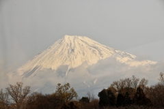 We were very fortunate to have several days of viewing Mount Fuji in its entirety.