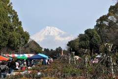 Arriving at Hiromi Park in Fuji City, Our delegation from Oceanside is in Fuji City to celebrate the 25th Anniversayr of our two cities, Oceanside, California and Fuji City, Japan.