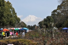 View of Hiromi park, Mt. Fuji in the background, with many locals selling locally made items for the 25th Celebrations ceremonies