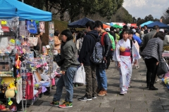 Local residents taking in the park celebrations and items for sale