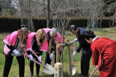 Second group adding dirt to the new tree