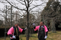 Jim Schroder and councilman Jerry Kern checking out the tree from the 1992 planting ceremony.