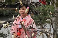 Great photo area with the trees in bloom