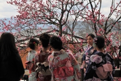 The back of the Kimono the young ladies are wearing is called an Obie.