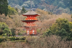 Beautiful tranquility in a busy city for meditation. The main building temple was covered for renovation from 2017 to 2020. In previous trips to Kyoto and the temple I was able to enjoy its beauty.