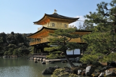 The Golden Pavilion is one of the most popular buildings in Japan attracting large numbers of visitors annually. It is designated a National Historic site and a National Special Landscape.