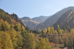 The landscape is spectacular especially in the late summer and early fall months.