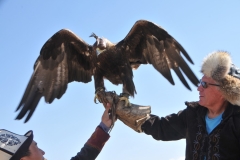 Just the slightest movement of your hand causes the bird to open its wings.  Look at the size of the talons, the feet wrapped around my wrist.
