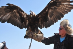To be sitting under the wings of the magnificent bird and looking up at the wing span and feathers.  Wow.