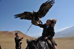 The eagle flapping its wings knocks the hat I have on off.