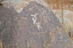 Two artistic drawings of large deer with branching antlers.  Their exquisite torsos are elongated, small heads are raised and antlers are depicted frontally.