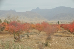 The next morning leaving the lake area we see beautiful fall foliage on the trees.