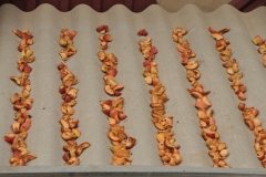 Apples drying in the air and sunlight