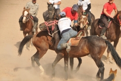 All the games are on horseback.  Young men from their village demonstrate examples of "Horse Wrestling",