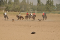 This version instead of a ball they use a headless goat which you see laying on the ground in the foreground.