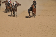 Here you see a rider picking up the goat from the ground and begin the journey to the end of the field and score a point.