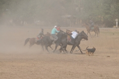 These games are typical to the Kyrgyzstan  culture dating back centuries.
