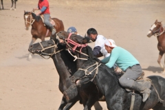 The object of the game is to pick up the goat carcass from the ground, race it down the field.