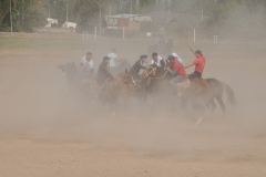 Once a player picks up the goat, the excitement escalates quickly with horses racing, turning and stopping all along the field