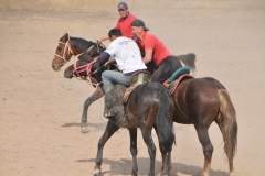 However, once that breakaway happens the goat holder is free to position the goat onto his horse, either by laying it across the saddle in front of him or placing it under his leg between him and the horse.
