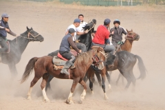 They can also hold it in hand if they choose although this makes steering the horse a challenge, especially at high speeds.