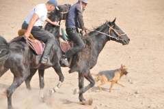 It is possible for the other team to intercept the goat while trying to toss it in as well.