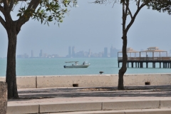 Local Fisherman throwing his net in the bay