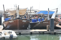 Local Dhow fishing boats