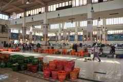 Inside the modern facility for selling fish