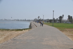 Large numbers of local flamingos abound as do sand  dunes south of the city.