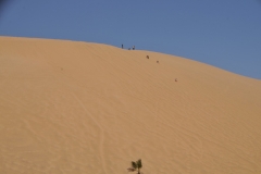 Just outside of Walvis Bay is Sand Dune 7.  One of the highest dunes in the area for hiking and sledding down the sand in the area.  The sand dunes, some of which are 980 feet high.