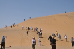 People trekking up the Sand Dune. I have done this before in other locations around the world. It is fun. I was lazy today to just sit back and watch everyone get hot and sweaty.