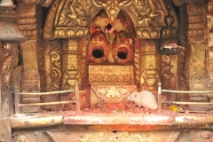 This alter is at the temple with the top slanting roof. Notice the large rat at the alter.