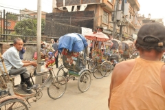 More rickshaws for rent