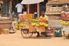 Fruits, vegetables sold from a local vendor