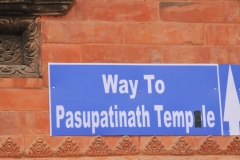 Pasupatmath Temple - Sacred Hindu Temple located on the banks of the Bagmati River. Erected in the 15th century and the oldest Hindu Temple in Khatmandu. When a person from the Hindu faith dies they try to cremate the body before sundown the same day.